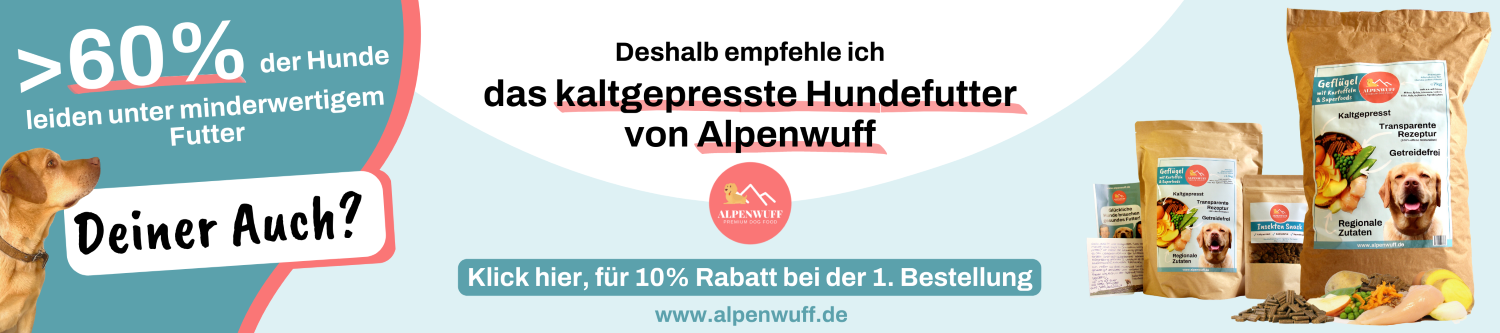 Website banner neu2